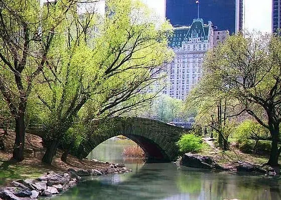 Lejlighed Sutton Court Hotel Residences New York